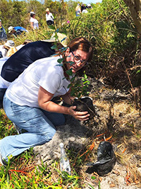 Planting trees for tourism